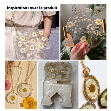 18pcs Fleurs Marguerites blanches Naturelles Séchées Pressées 18pcs Fleurs Marguerites blanches Naturelles Séchées Pressées