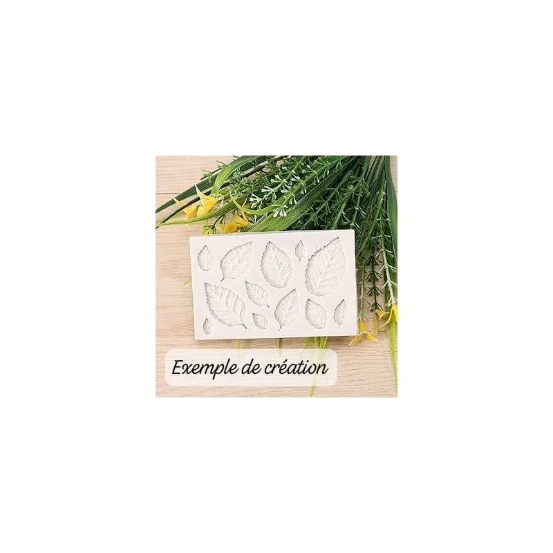 400gr silicone RTV922 plus 50gr durcisseur 5%