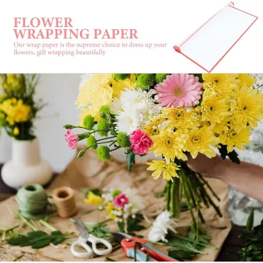 Lot de 2 Feuilles de Papier d'Emballage BOPP Imperméable pour Bouquets de Fleurs – Bordure à Bande Rouge – 58 x 58 cm
