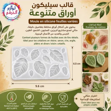 Moule 12 cavités feuilles arbres variées silicone