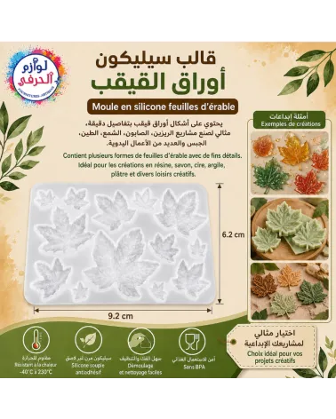 Moule Feuilles Érable_13 cavités 🍁
