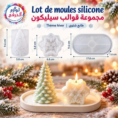 Lot 3 moules silicone Thème hiver  Sapin, flocon & plateau |مجموعة 3 قوالب سيليكون – طابع شتوي
