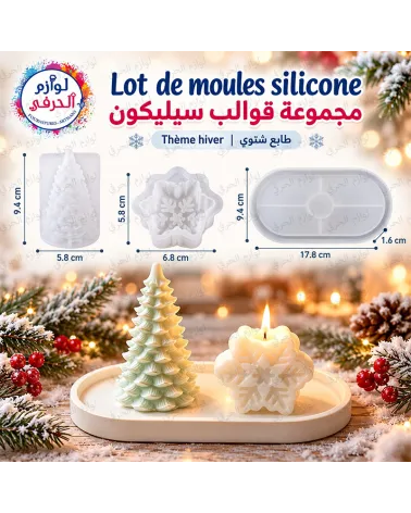 Lot 3 moules silicone Thème hiver  Sapin, flocon & plateau |مجموعة 3 قوالب سيليكون – طابع شتوي