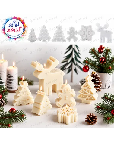 Moules silicone décoratifs thème hiver_6 modèles assortis